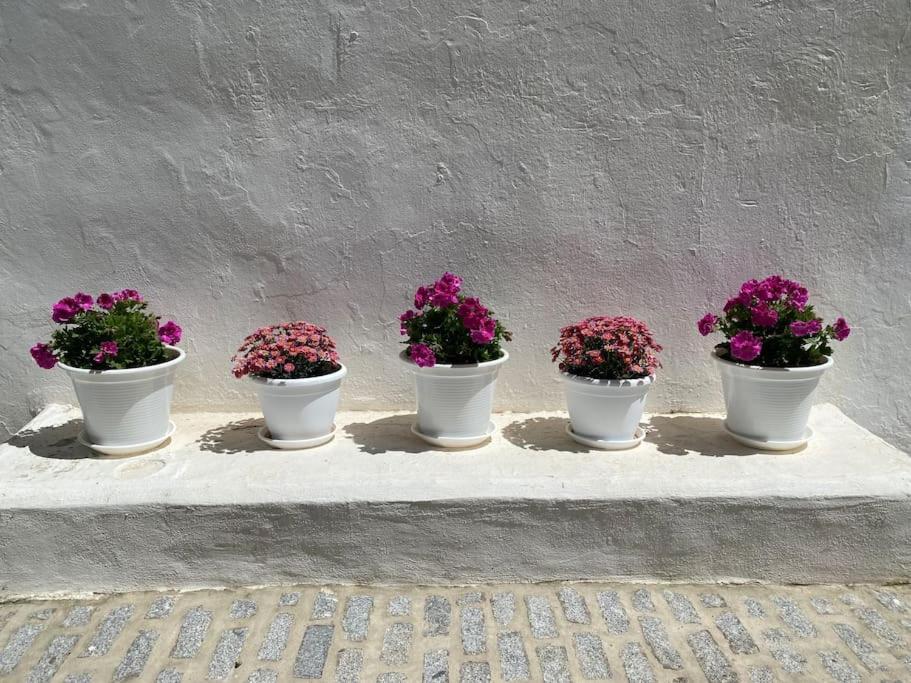 Casa Galeria La Retinta Villa Vejer de la Frontera Exterior foto